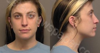 SERBANICH,REBECCA MICHELE | 2022-04-03 13:05:00 Saline County, Kansas Booking