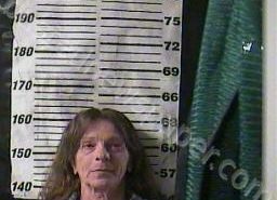 CHERYL MCINTYRE | 2022-04-03 11:59:00 Cocke County, Tennessee Booking