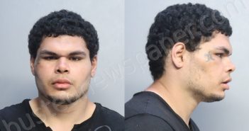 <B>RICARDO</B>, <B>STEPHEN</B> #, Miami-Dade County, Florida - 2022-04-04 00:57:00