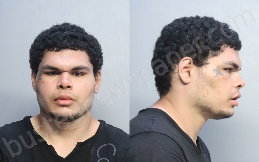 RICARDO, STEPHEN #, Miami-Dade County, Florida - 2022-04-04 00:57:00