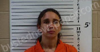 LEE, CIERA NICHOLE | 2022-04-04 20:00:00 Cherokee County, North Carolina Booking