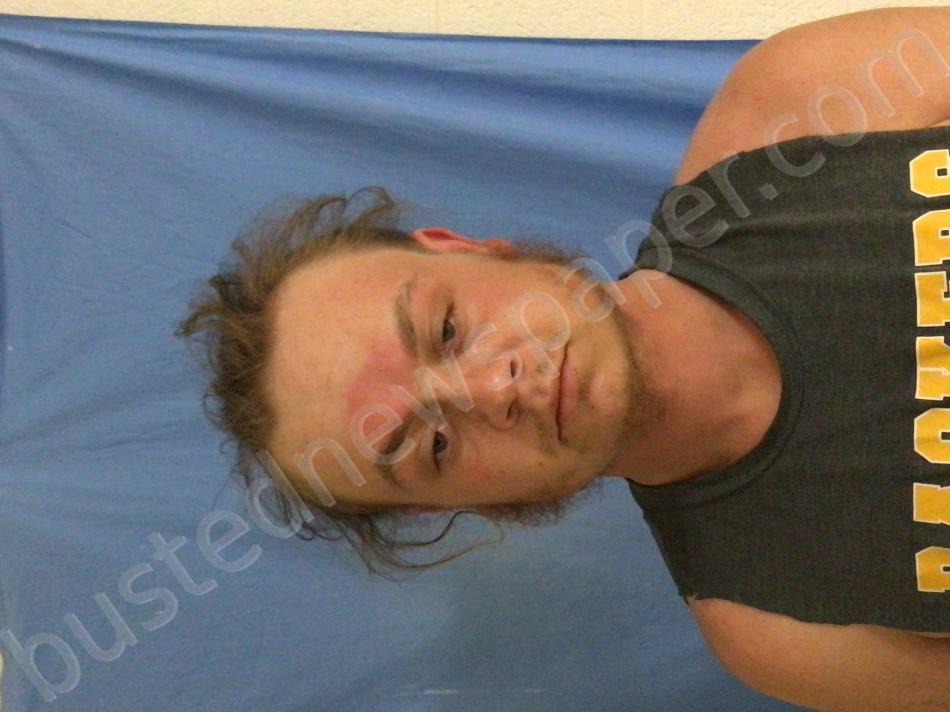 REED, BRETT JAEGAR #, Henry County, Missouri - 2022-04-05 14:12:00