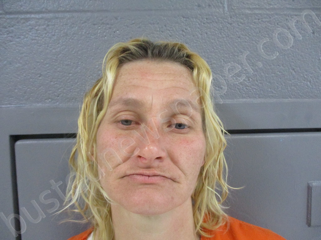CASTEEL, MICHELLE MARIE #, Preston County, West Virginia - 2022-04-06 22:30:00
