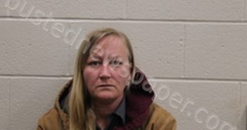 CHRISTINA LYNN JOHNSON | 2022-04-06 06:21:00 Andrew County, Missouri Booking