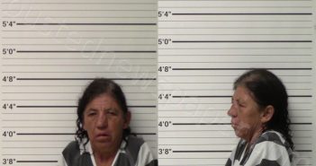 BENSON, ELSA YBARRA | 2022-04-07 Kerr County, Texas Booking