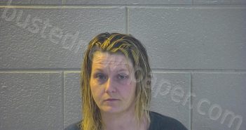 CLEMENTS, AMBER D | 2022-04-08 18:26:00 Pulaski County, Kentucky Booking