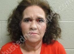 MELISSA MADDOX | 2022-04-08 19:54:00 Lincoln County, Tennessee Booking