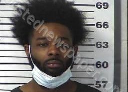 <B>OCTAVIUS</B> <B>LEE</B> #, Gibson County, Tennessee - 2022-04-08 15:02:00