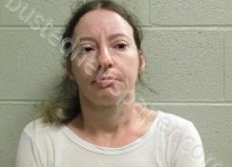 MARQUITA RODGERS | 2022-04-08 19:00:00 Lincoln County, Tennessee Booking