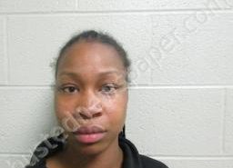 A’SYIA REESE | 2022-04-08 02:05:00 Lincoln County, Tennessee Booking