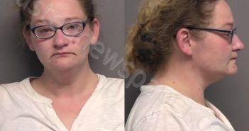 WILLIAMS,CHRISTINE N | 2022-04-09 23:30:00 Saline County, Kansas Booking