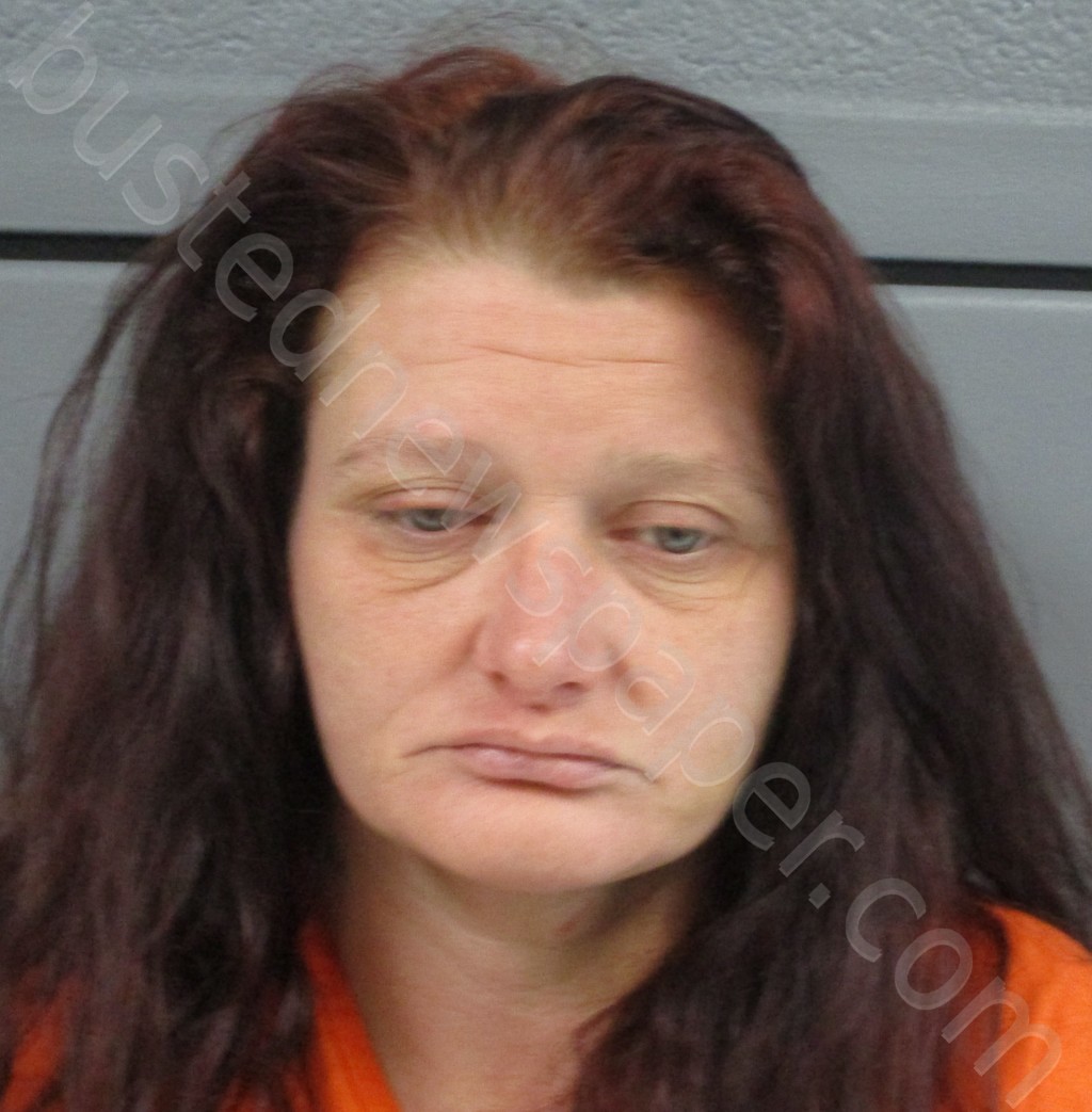 NELSON, CARRIE GERALDINE #, Pocahontas County, West Virginia - 2022-04-09 01:15:00
