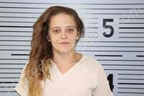 JESSICA DEAN FINLEY #, Jackson County, Alabama - 2022-04-10 23:32:00