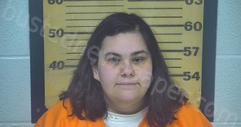 PAPULIAS, HAYLEE LYNNE | 2022-04-10 17:47:00 Ottawa County, Ohio Booking