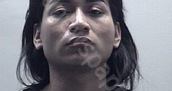 FLORES-<B>MENDOZA</B>, RICARDO <B>ELIAS</B> #, Harris County, Texas - 2022-04-11 19:54:00