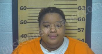 YORK, LA’NEY DENISE | 2022-04-11 23:17:00 Ottawa County, Ohio Booking