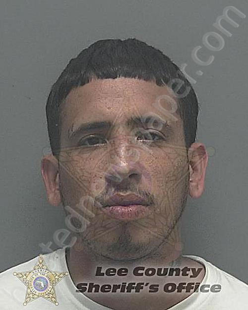 ALCANTARA SANTIAGO, ALEXANDER #, Lee County, Florida - 2022-04-12 10:24:38