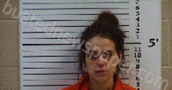 CHEEKS, VIVIANE SHAE | 2022-04-12 09:49:00 Cherokee County, North Carolina Booking