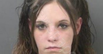 COMBS, MEGAN MARIE | 2022-04-13 00:12:00 Montgomery County, Ohio Booking