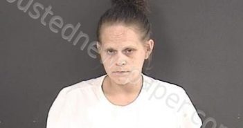 SHELTON, HOLLY ANN | 2022-04-13 03:28:00 Roanoke County, Virginia Booking