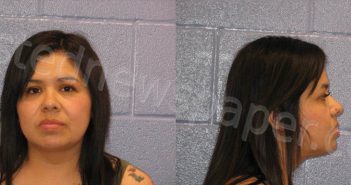 RIVERA, KARINA BUENO | 2022-04-15 Andrews County, Texas Booking