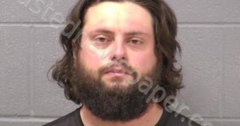 PRINCE, DOMINIC N | 2022-04-16 03:56:00 Will County, Illinois Booking