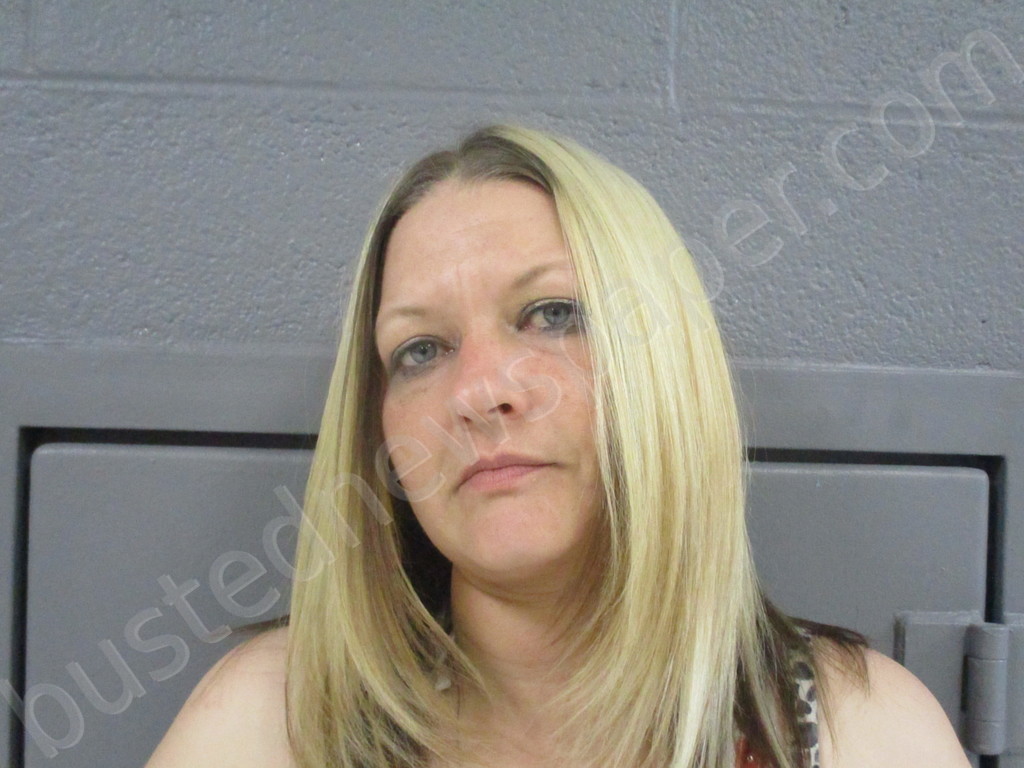 HAMMONS, JOCELYN NICOLE #, Pocahontas County, West Virginia - 2022-04-16 17:25:00