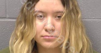 CASTILLO, YASMIN | 2022-04-17 17:54:00 Will County, Illinois Booking