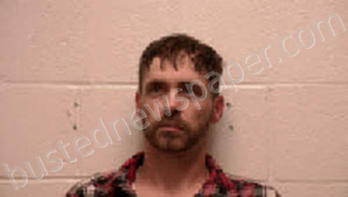 ADAMS, CHRISTOPHER SHAYNE #, Robertson County, Tennessee - 2022-04-17 16:48:00