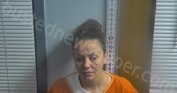 WADSWORTH, CASEY M | 2022-04-18 09:27:00 Ottawa County, Ohio Booking