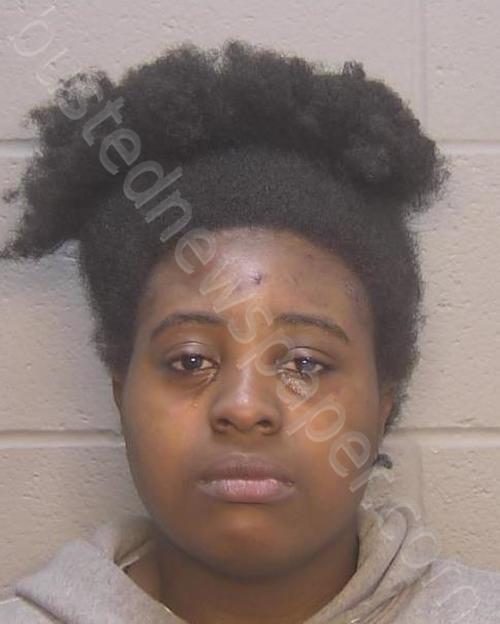 JOHNSON, AYANA SELENE #, Chesapeake, Virginia - 2022-04-18 19:04:00