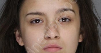 PENA, ANGEL MACIE | 2022-04-19 20:07:00 Ellis County, Texas Booking