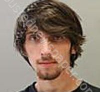 GIBSON, LUCAS SHAYNE | 2022-04-19 Morgan County, Alabama Booking