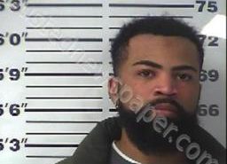 TYLER PIPKIN | 2022-04-19 17:36:00 Gibson County, Tennessee Booking