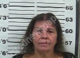 KAREN VANDOLAH | 2022-04-19 16:01:00 Gibson County, Tennessee Booking