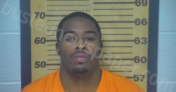 FREZZELL, BRANDON DESEAN | 2022-04-19 06:46:00 Ottawa County, Ohio Booking