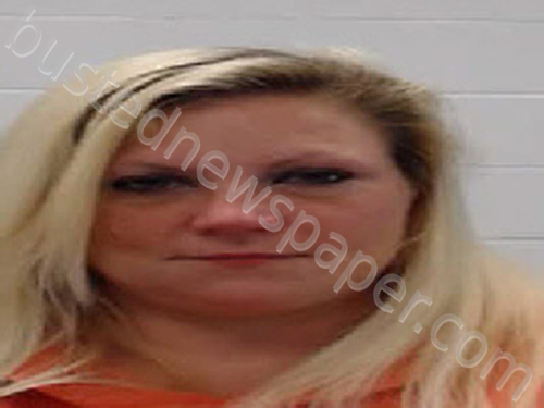 ROBISON, BRIDGET RENEE #, Wayne County, Tennessee - 2022-04-19 10:40:00