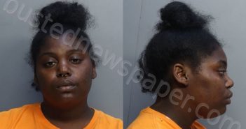 MONROE, ANNA NICOLEDEMETR | 2022-04-20 18:54:00 Miami-Dade County, Florida Booking