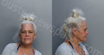 NODAL, MEYLAN A | 2022-04-20 18:42:00 Miami-Dade County, Florida Booking