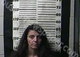 CRYSTAL VAN DALEY | 2022-04-20 13:58:00 Cocke County, Tennessee Booking