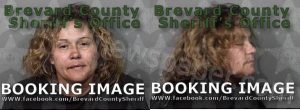 SKINNER, AMY RENEE | 2022-04-20 02:27:00 Brevard County, Florida Booking