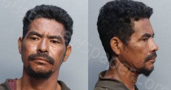 MENA, SELVIN | 2022-04-20 19:10:00 Miami-Dade County, Florida Booking