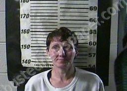 STACIE ANDERSON | 2022-04-21 14:58:00 Cocke County, Tennessee Booking