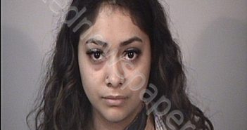 GONZALEZ SORTO, HEYDI GISSEL | 2022-04-24 09:58:00 Rappahannock Regional Jail, Virginia Booking