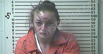 JOHNSON, LONI NICOLE | 2022-04-25 19:05:00 Hardin County, Kentucky Booking