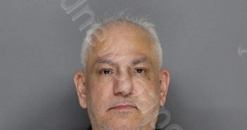 LEDESMA, PEDRO ANTONIO | 2022-04-27 22:28:00 Ellis County, Texas Booking