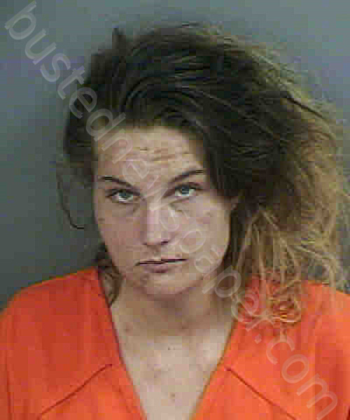 COVELLI,JONI MARIE #, Collier County, Florida - 2022-04-27