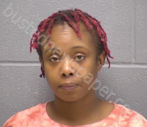 CAESAR, JOYCE A #, Will County, Illinois - 2022-04-27 18:36:00