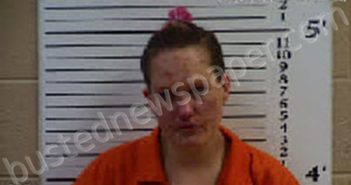 LEMON, LINDSEY ANN | 2022-04-28 15:56:00 Cherokee County, North Carolina Booking