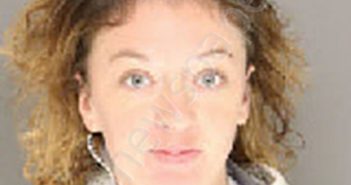 ROBINSON, ALLISON NICOLE | 2022-04-28 16:29:00 Moore County, North Carolina Booking